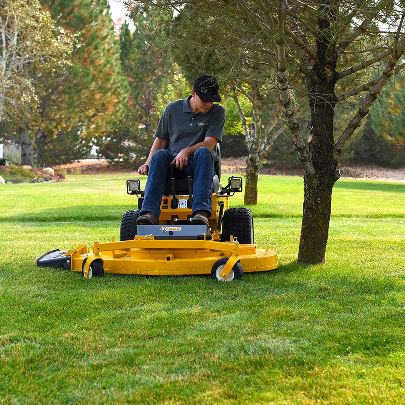 Walker out-front deck mower cutting close to a tree on a lifestyle block lawn